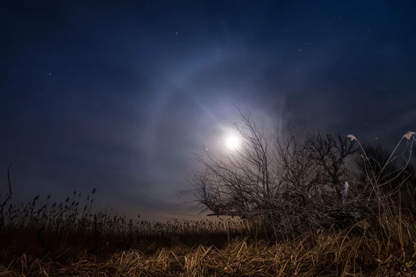 月の夜の満月の風景を追いかけてください。 ロイヤリティフリーのストック画像