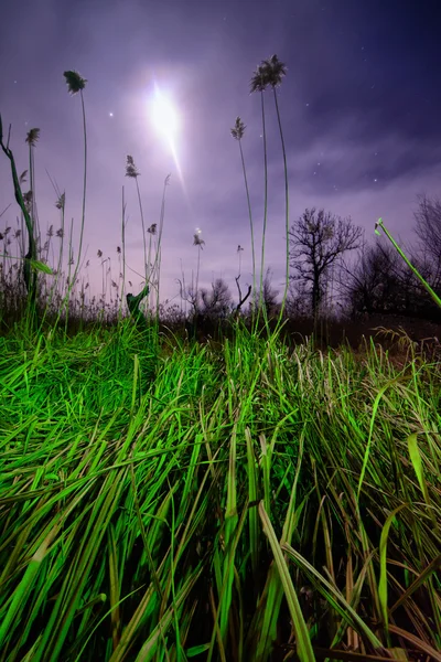 Rayos voladores OVNI - paisaje nocturno de luna llena — Foto de Stock