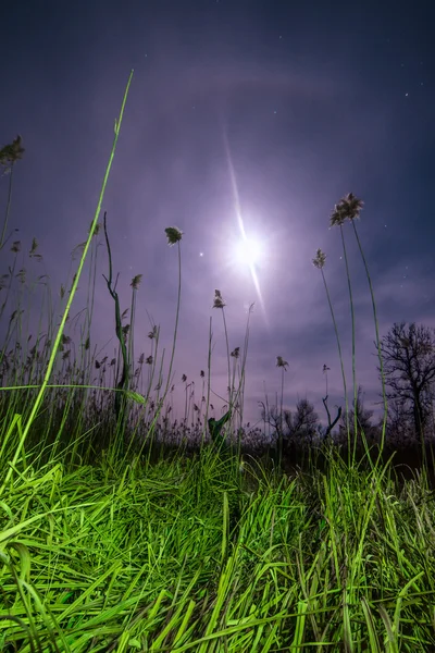 UFO, létající paprsky - noc úplňku krajina — Stock fotografie