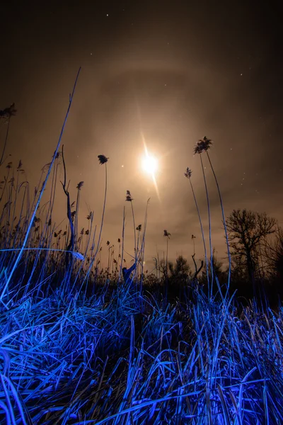 UFO voando raios - noite lua cheia paisagem — Fotografia de Stock