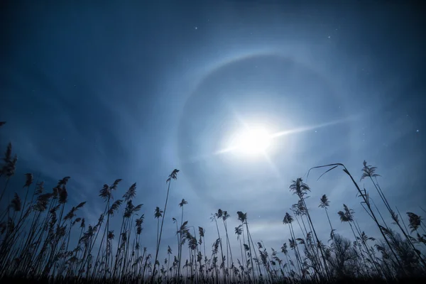 Φεγγάρι ρολόι - ασυνήθιστο πανσέληνο φωτοστέφανο φωτισμού — Φωτογραφία Αρχείου