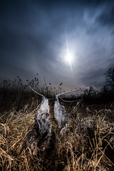 Fullmåne halo strålar - fullmåne Nattlandskap Royaltyfria Stockfoton