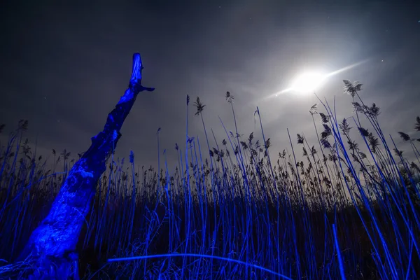 Ufo の飛行の光線 - 満月の夜の風景 ストック写真