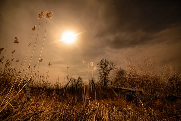 Fullmåne halo strålar - fullmåne Nattlandskap Stockfoto