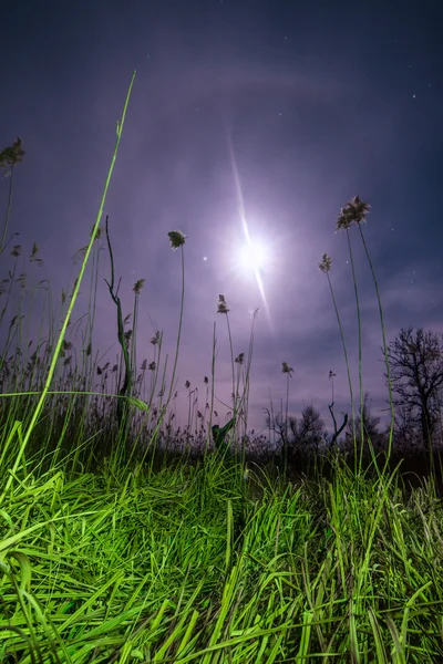 Ufo の飛行の光線 - 満月の夜の風景 ストック画像