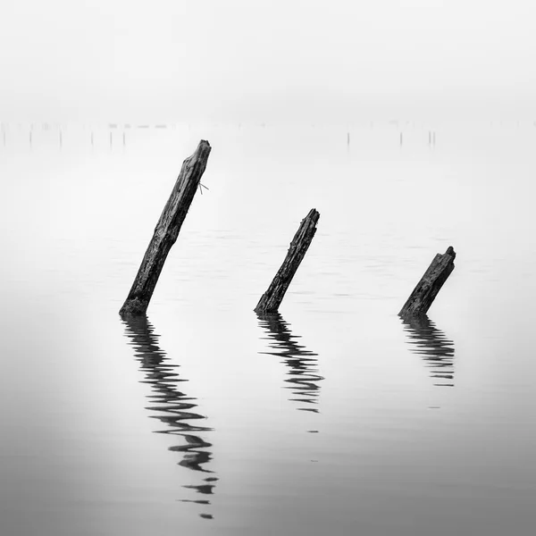 Pali in acqua - concetto di silenzio — Foto Stock