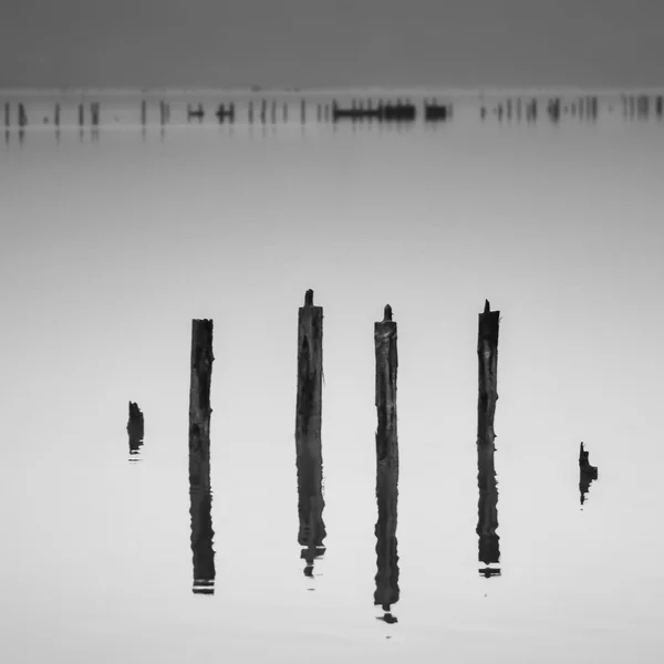 Поляки в воде - понятие тишины — стоковое фото