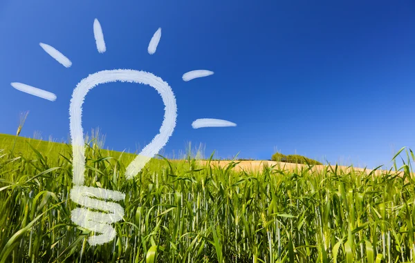 Idea ecológica renovable de una bombilla en un campo verde y un cielo azul —  Fotos de Stock