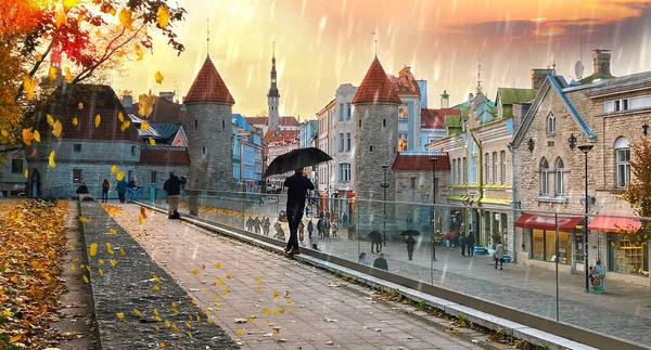 タリン旧市街パノラマ赤い屋根黒い傘とフロントマン上の中世の塔秋の黄色の葉は雨季になる — ストック写真