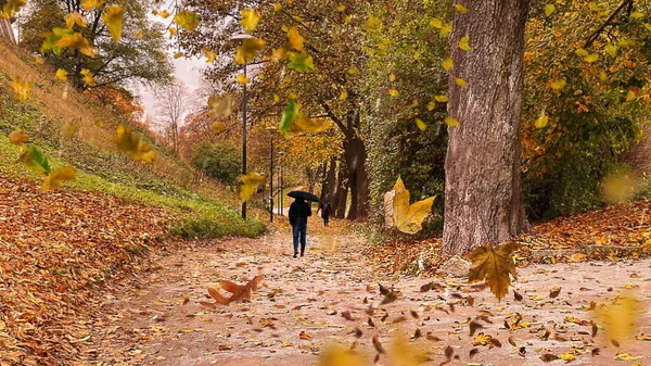 Herbstgelbe Blätter Fallen Von Ästen Bäume Park Silhouette Der Menschen — Stockfoto