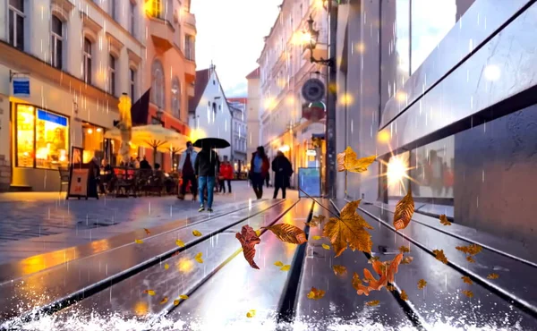 Дощове Місто Затуманене Світлом Листя Осені Падає Тротуари Людей Які — стокове фото