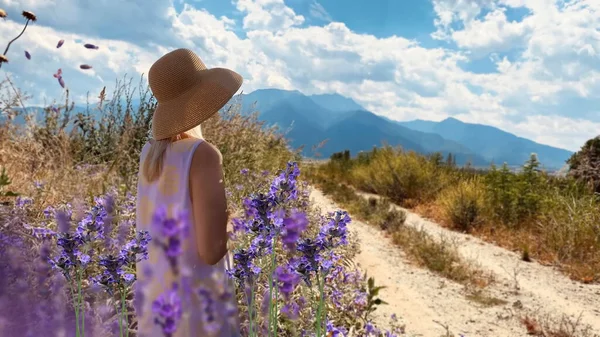 Mulheres Chapéu Palha Lavanda Selvagem Flores Campo Azul Céu Nublado — Fotografia de Stock