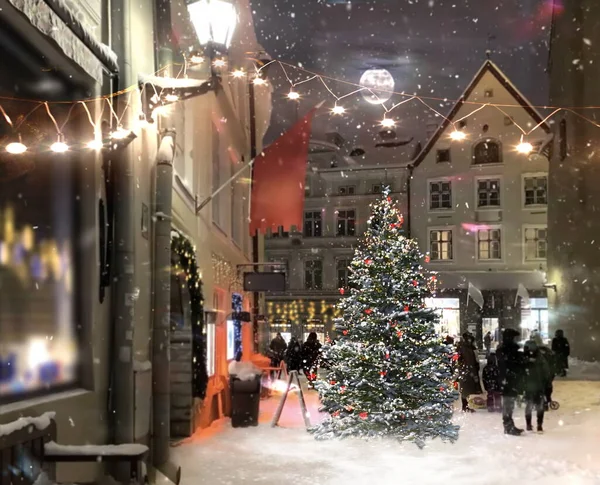 Vánoční Stromeček Ozářený Večerní Zimou Středověké Městské Ulici Světlo Luceren — Stock fotografie