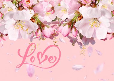   Aşk metni pembe çiçekler ama pastel arka planda taç yaprağı bayram bayramı ve kadınlar günü tebrik kartı kalp mesajları arka plan şablonu kopyalama alanı