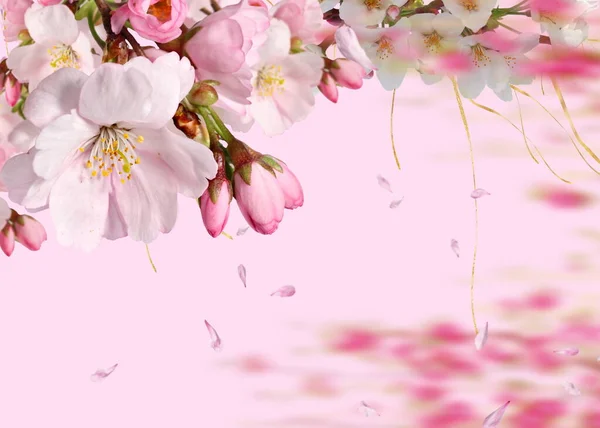 Liefde Tekst Roze Bloemen Maar Bloemblaadje Pastel Achtergrond Feestelijke Valentijnsdag — Stockfoto