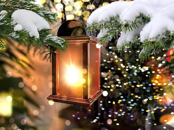 Street Lantern Blurred Night Light Christmas Tree Branch Snowy Festive — Stockfoto