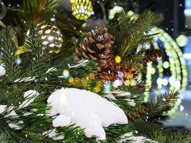 Çam kozalaklı Noel ağacı. Altın konfeti süslemesi. Tallinn 'deki bulanık ışık gecesinde.