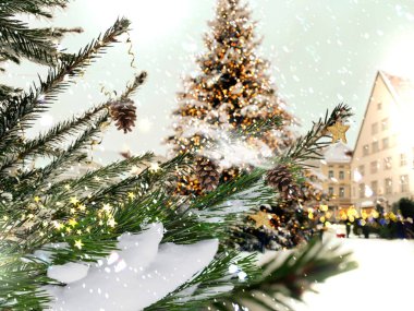  Snowy  Christmas tree illuminated  with pine cone branch on front in old  town Tallinn square market place snow fall in  winter medieval city holiday travel  Estonia