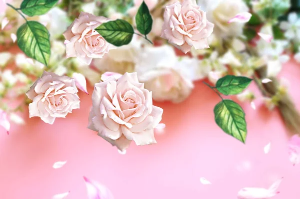 Valentijnsdag Groet Roze Witte Rozen Maar Bloemen Achtergrond Met Groene — Stockfoto