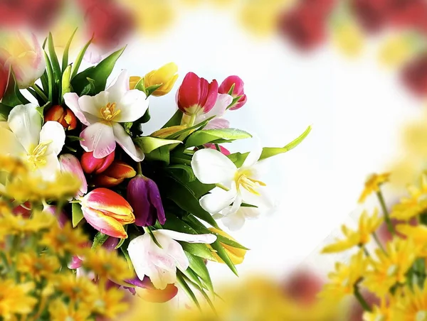 Spring Flowers Tulip Bouquet Pink Green Yellow Petal Floral Background — Stock Photo, Image