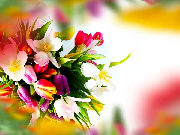 Frühling Blumen Tulpe Strauß Rosa Grün Aber Und Gelb Blütenblatt — Stockfoto