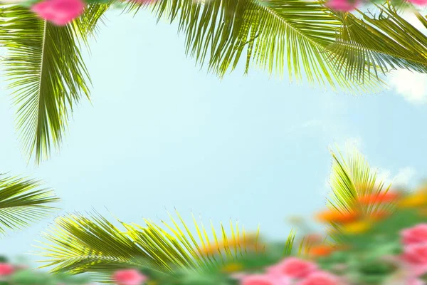 Niebieski Niebo Tropikalne Zielone Liście Palmy Froncie Egzotyczne Żółty Różowy — Zdjęcie stockowe