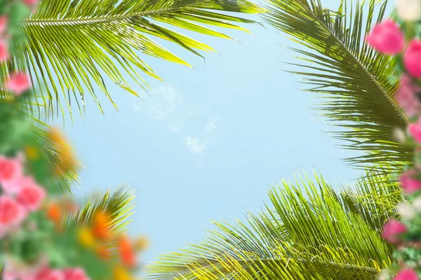 Blauwe Hemel Tropische Groene Palm Bladeren Voorkant Exotisch Geel Roze — Stockfoto