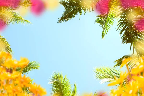 Modrá Obloha Tropické Zelené Palmové Listy Přední Exotické Žluté Růžové — Stock fotografie