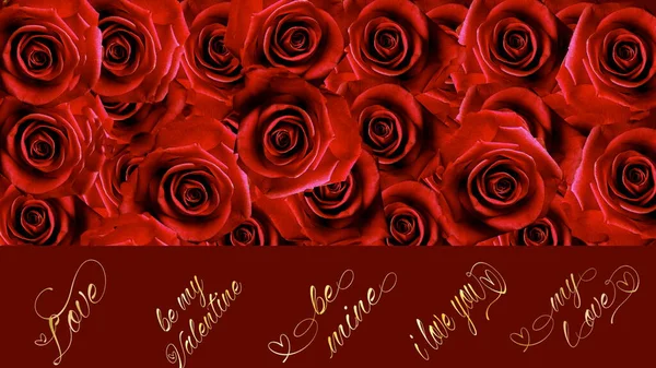 Roses Rouges Mais Avec Des Salutations Saint Valentin Texte Symbole — Photo