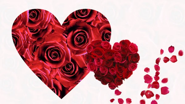情人节的象征红玫瑰红心的象征白色和红色的背景与情人节的问候卡片文本与黄金圆饼和元素 — 图库照片