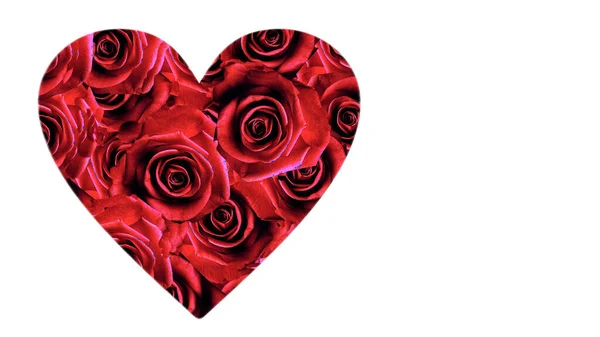 San Valentino Simbolo Rose Rosse Cuore Simbolo Sfondo Bianco Rosso — Foto Stock