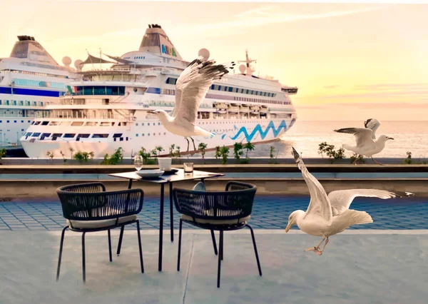 seagull  fly cruise ship in harbor people relaxing  cup of coffee on table at street restaurant   sunset blue pink cloudy sky  promenade Tallinn old town Baltic sea Estonia