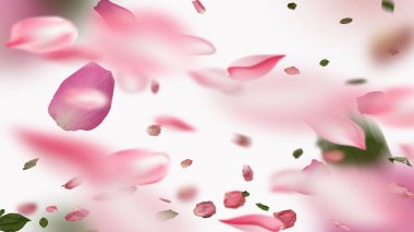   Yeşil yapraklı pembe gül yaprağı kalp sembolü zedelenmiş ve beyaz arka planda bayramlık sevgililer günü düğün gününde kadınlar fotokopi alanının şablonunu bozuyor.