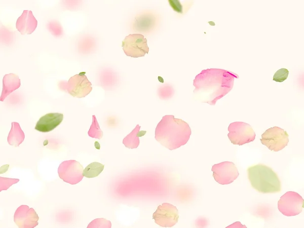 Yeşil Yapraklı Pembe Gül Yaprağı Kalp Sembolü Zedelenmiş Beyaz Arka — Stok fotoğraf