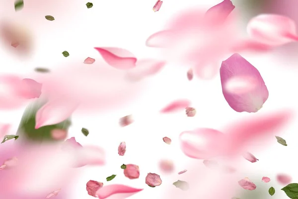 粉色玫瑰花瓣绿叶心形斑斑 白色背景喜庆情人节女性脱色模板复制空间 — 图库照片