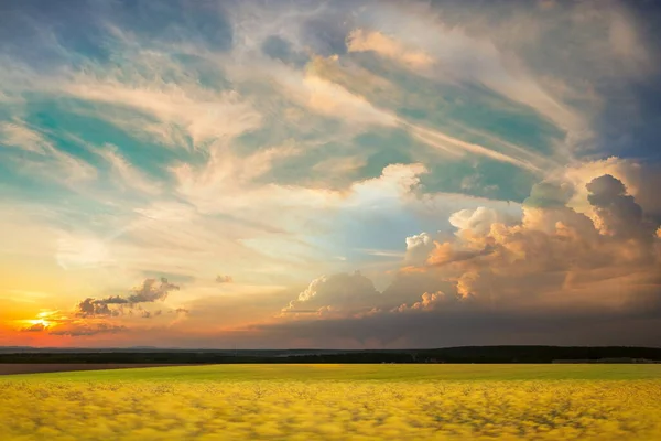 Campo Selvagem Grama Verde Prado Torres Pôr Sol Céu Nublado — Fotografia de Stock