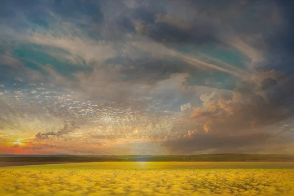 Wild Veld Groen Gras Weide Vorst Zonsondergang Bewolkte Hemel Platteland — Stockfoto