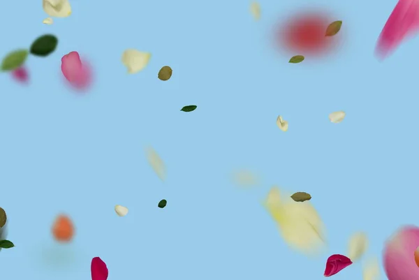 Rosa Gröna Blommor Och Kronblad Leves Färgglada Festliga Hälsningar Sommar — Stockfoto