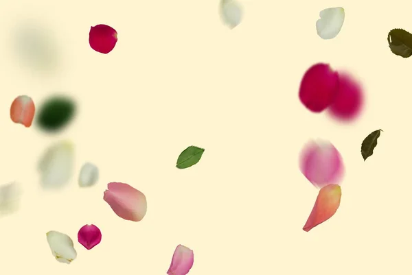 Рожево Зелені Квіти Пелюстка Листя Барвисті Святкові Привітання Літній Весняний — стокове фото