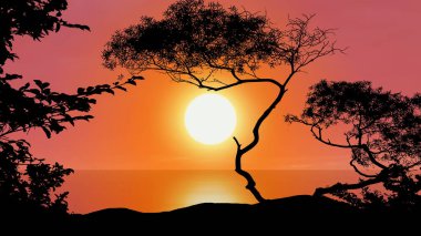 Güneş batarken deniz turuncu güneş doğar siyah ağaç siluetinde