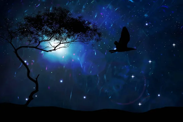 星系之夜自然轮廓星空天球宇宙浅表自然背景 — 图库照片