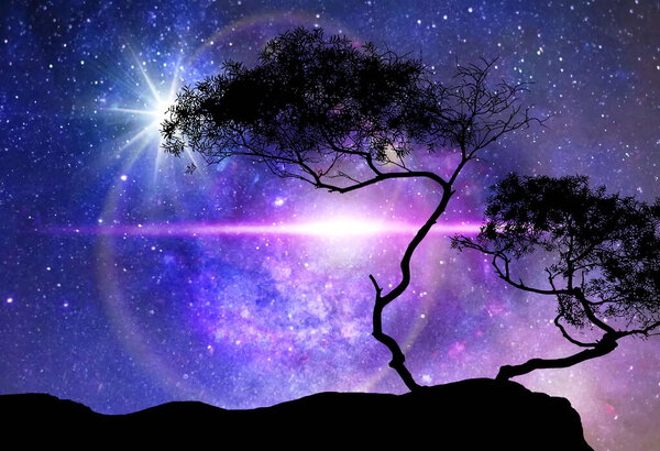 Galaxy night nature silhouette starry sky globe cosmic universe light plares nature background