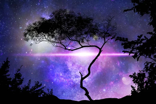 Галактика Ночь Силуэт Природы Звездное Небо Глобус Космическая Вселенная Свет — стоковое фото