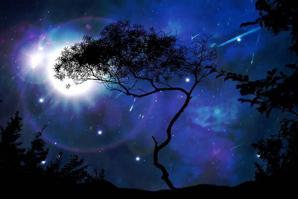 Galaxy night nature silhouette starry sky globe cosmic universe light plares nature background
