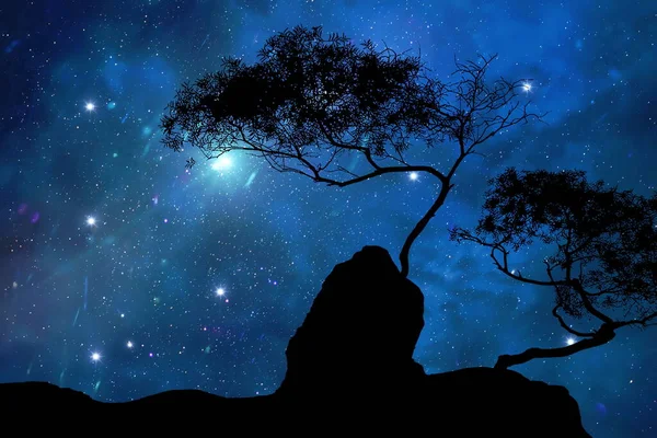 Galaxia Noche Naturaleza Silueta Cielo Estrellado Globo Universo Cósmico Luz —  Fotos de Stock