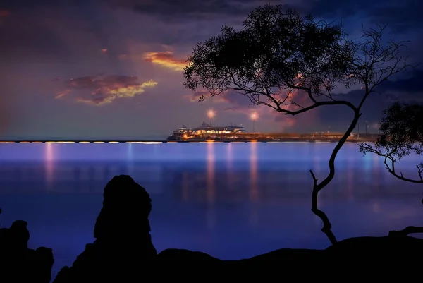 Céu Azul Noite Porto Planta Árvore Silhueta Desfocado Luar Luz — Fotografia de Stock