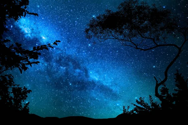 Galaxis Csillagos Zöld Kék Éjszakai Aurora Borealis Növény Sziluett Elmosódott — Stock Fotó