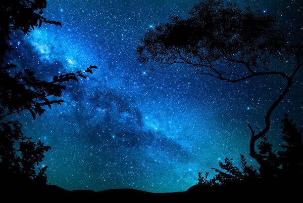 Galaxy starry green blue night sky Aurora Borealis plant tree silhouette blurred light on light reflection