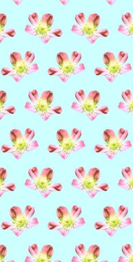 Renkli çiçek desenli arkaplan şablonu 