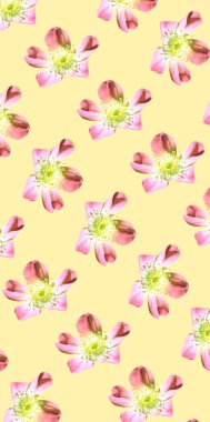 Renkli çiçek desenli arkaplan şablonu 